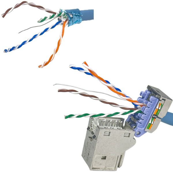 Paires torsadées dénudées pour le branchement de la prise RJ45